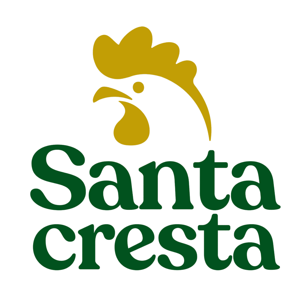 Diseño sin título (4)